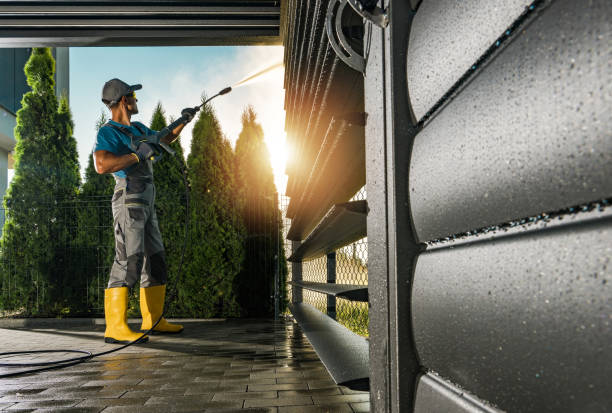 Best Exterior Home Cleaning  in Plum Grove, TX