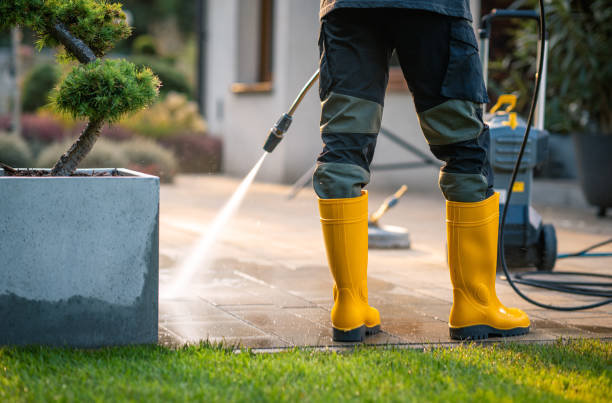 Best Local Pressure Washing Services  in Plum Grove, TX